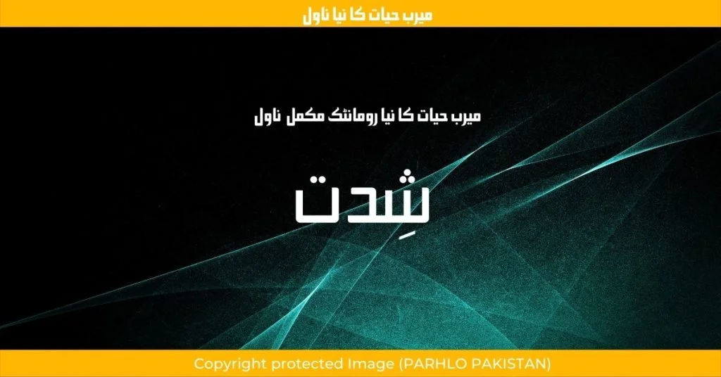 Shiddat by Meerab Hayat Complete Novel Download